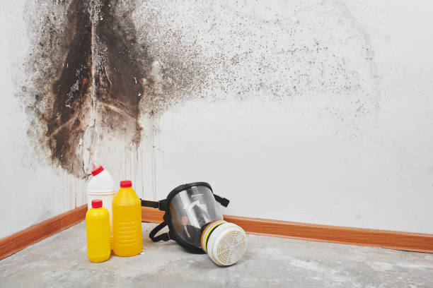 Best Emergency Mold Removal  in Shrewsbury, PA