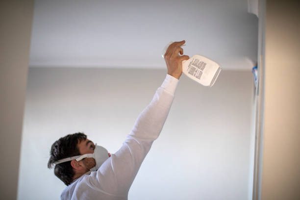 Certified Mold Removal in Shrewsbury, PA