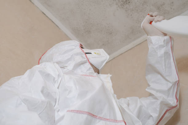 Best Mold Inspection  in Shrewsbury, PA