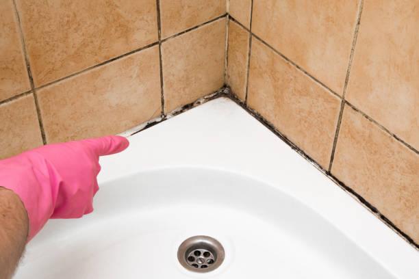 Best Mold Testing  in Shrewsbury, PA